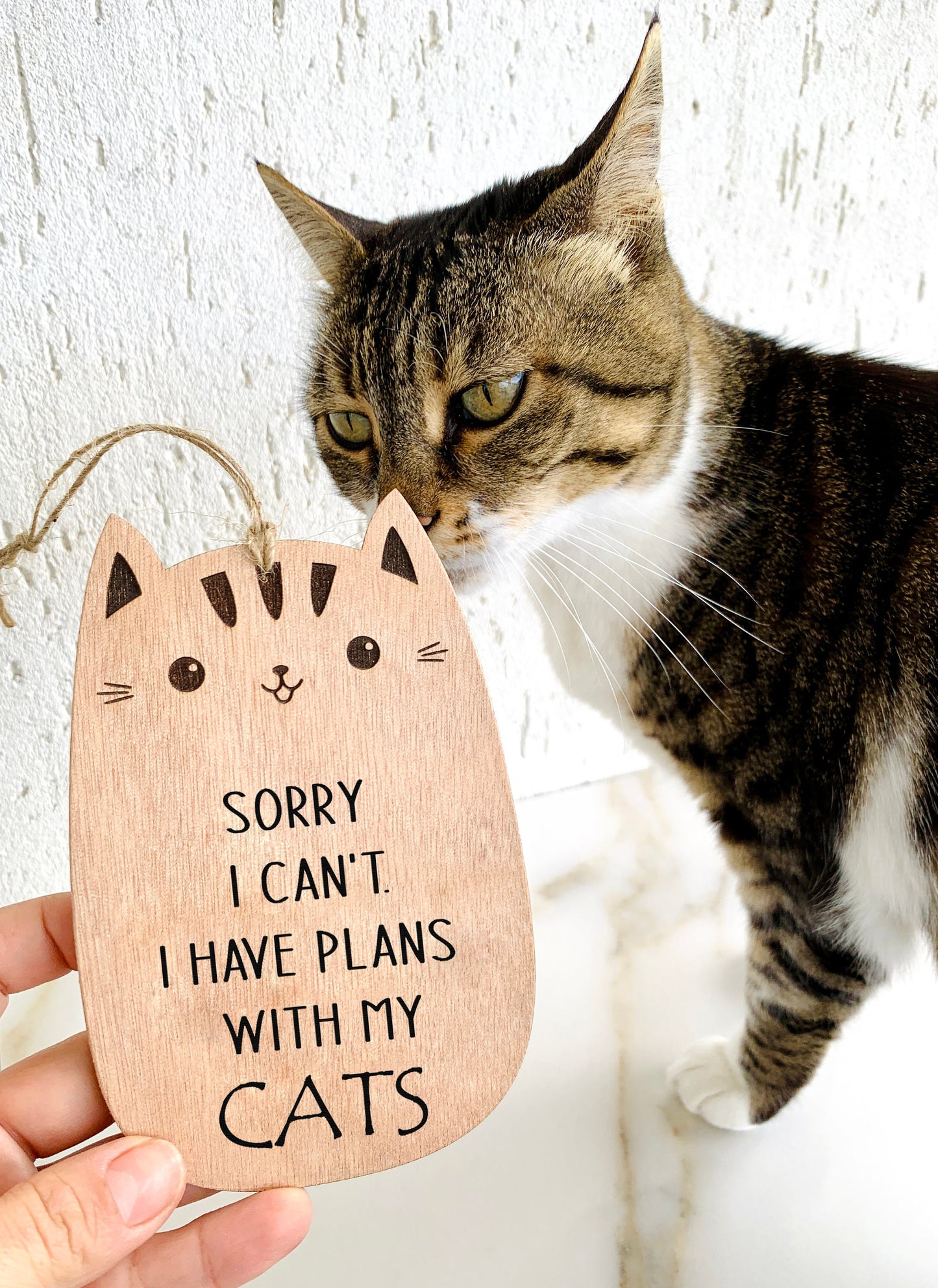 Cat Wood Sign Plaque Engraved "Sorry I Cant I Have Plans With My Cat" Custom Message Farmhouse Sign Gift for Cat Lovers Crazy Cat Lady Gift