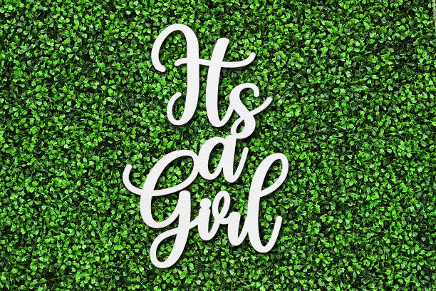 It's A Boy - It's A Girl Party Decor Sign, Baby Shower Sign, Its A Boy - Its A Girl Backdrop Wood Sign, Gender Reveal Baby Announcement Sign