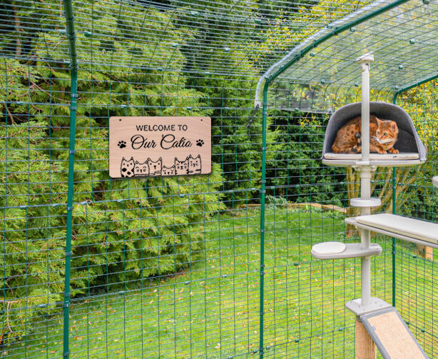Welcome To Our Catio Wood Sign Plaque - Personalized Engraved Cat Sign