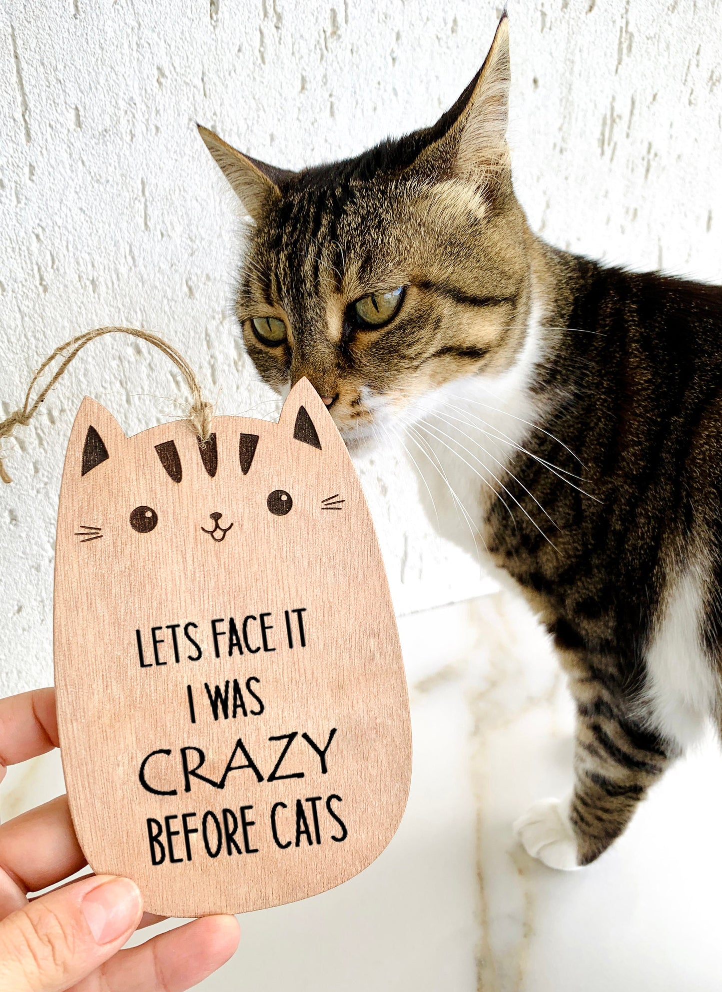Funny Cat Plaque Sign Wooden Laser Engraved Crazy Cat Lady Gift Wood Plaque Sign Engraved &quot;Lets Face it I was Crazy Before Cats&quot; Custom Message Door Sign Farm House Gift for Cat Lovers