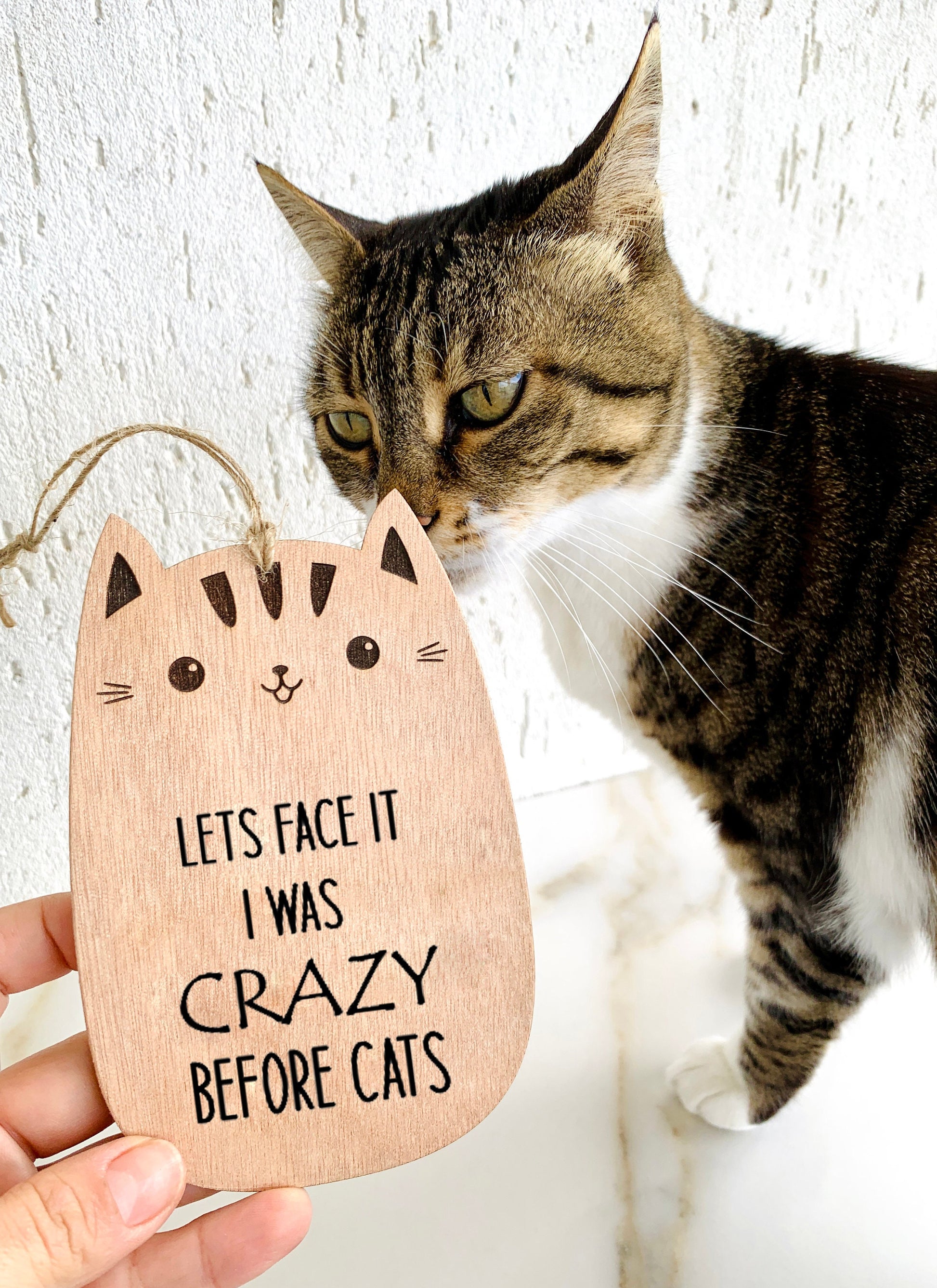 Funny Cat Plaque Sign Wooden Laser Engraved Crazy Cat Lady Gift Wood Plaque Sign Engraved &quot;Lets Face it I was Crazy Before Cats&quot; Custom Message Door Sign Farm House Gift for Cat Lovers