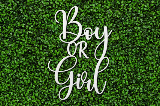 Boy or Girl Sign Baby Shower Gender Reveal Sign, Baby Party Backdrop Decor, Baby Gender Wood Sign, Baby Party Sign, New Baby Nursery Sign