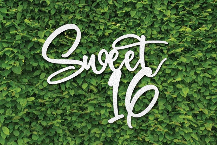 Sweet 16 Wood Wall Sign, Rustic Sweet 16 Backdrop Sign, 16th Birthday Decoration Banner, Sweet 16 Birthday Party Sign, Girls Party Décor