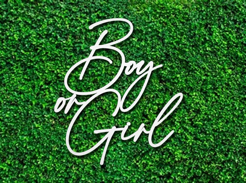 Boy or Girl Sign Baby Shower Gender Reveal Sign, Baby Party Backdrop Decor, Baby Gender Wood Sign, Baby Party Sign, New Baby Nursery Sign