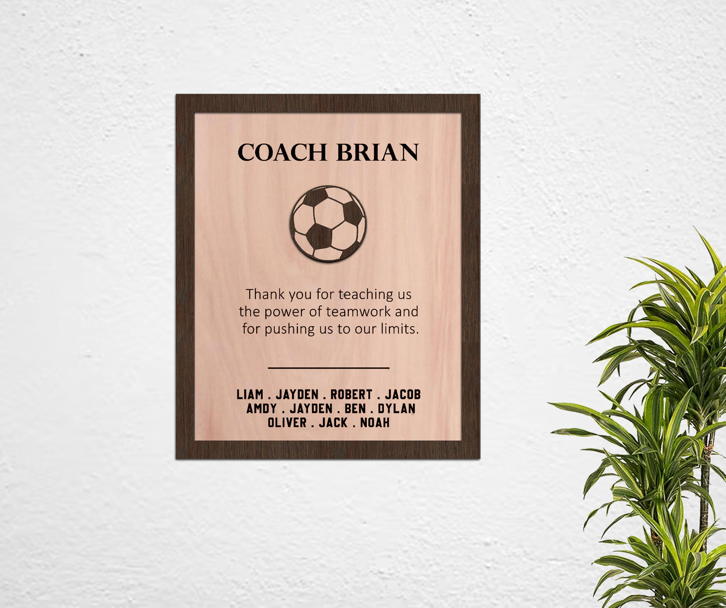 Soccer Coach Thank You Gift Wood Plaque, End of Season Gift with Players Names, Personalized Recognition Award, Appreciation Gift from Team