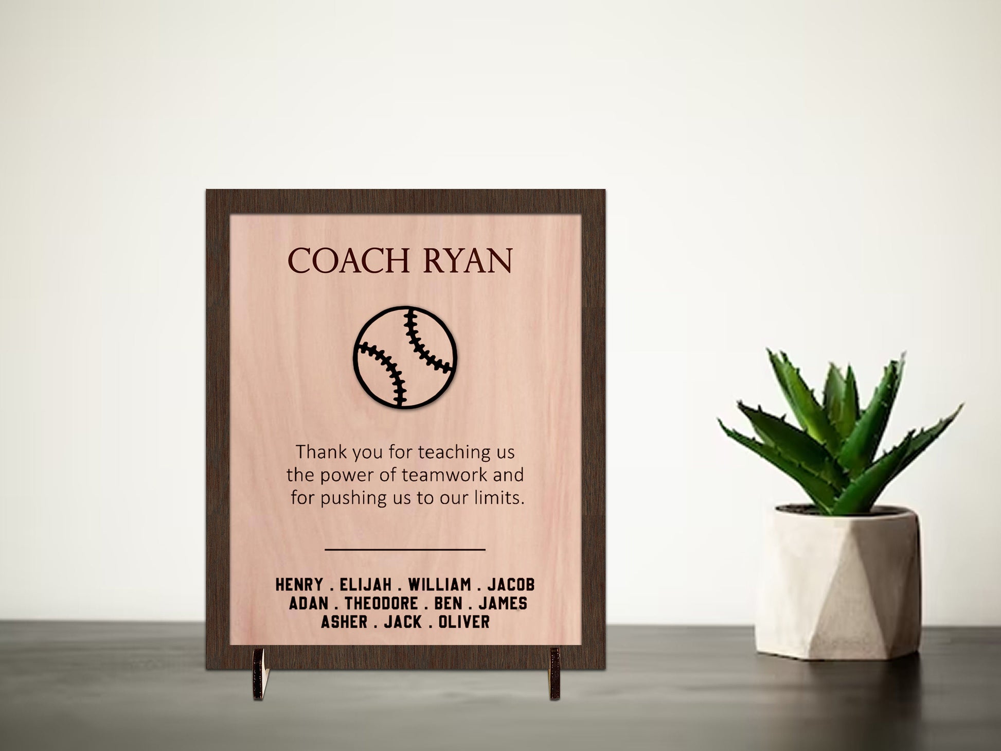 Softball Coach Thank You Gift Wood Plaque, Baseball End of Season Gift with Players Names, Personalized Recognition Award, Appreciation Gift from Team